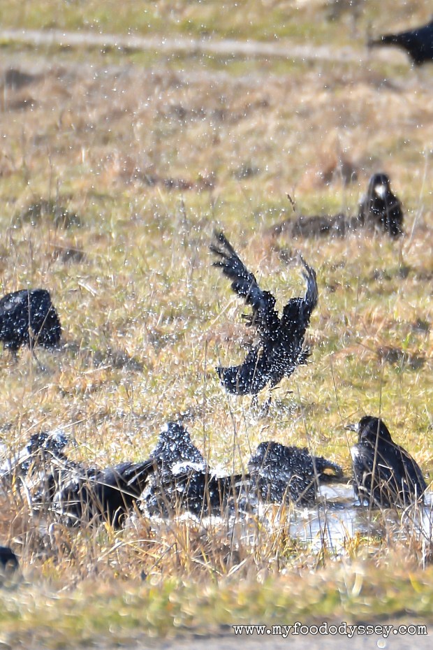 This party is CRAZY!