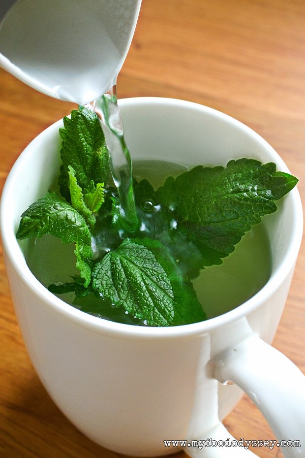 Melissa (Lemon Balm) | www.myfoododyssey.com