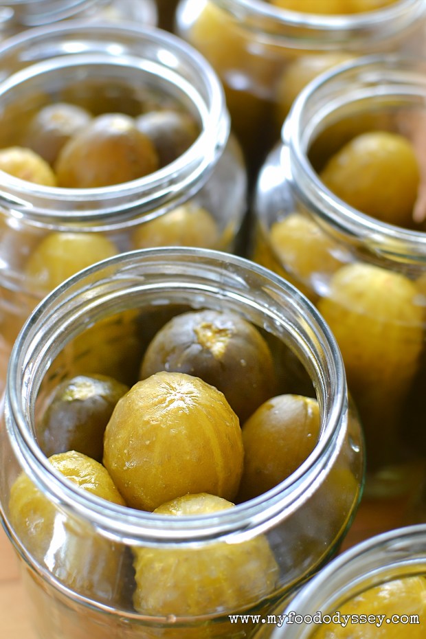 Half sour pickles (Rauginti Agurkai) | www.myfoododyssey.com