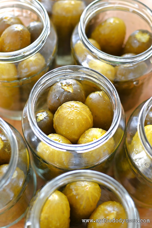 Half sour pickles (Rauginti Agurkai) | www.myfoododyssey.com