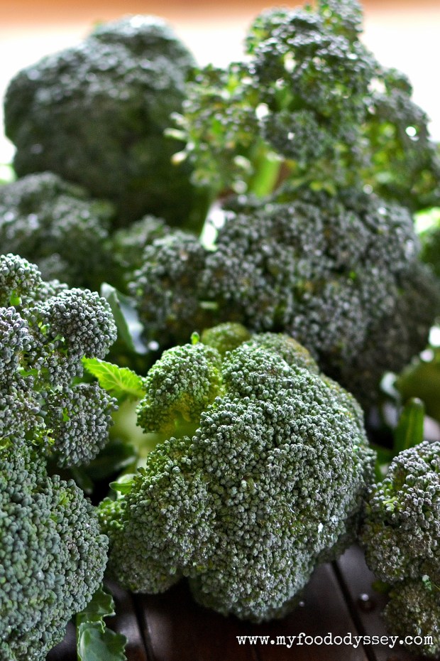 Fresh Broccoli | www.myfoododyssey.com