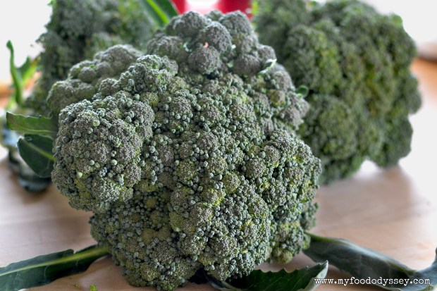 Broccoli Heads | www.myfoododyssey.com