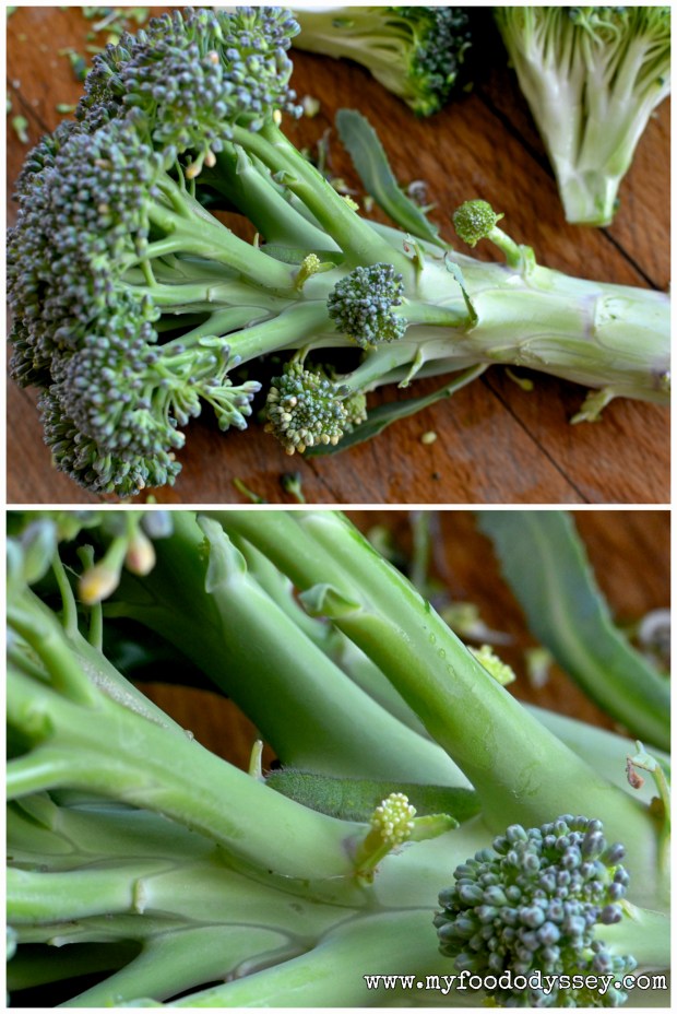 Camouflaged Broccoli Caterpillar | www.myfoododyssey.com
