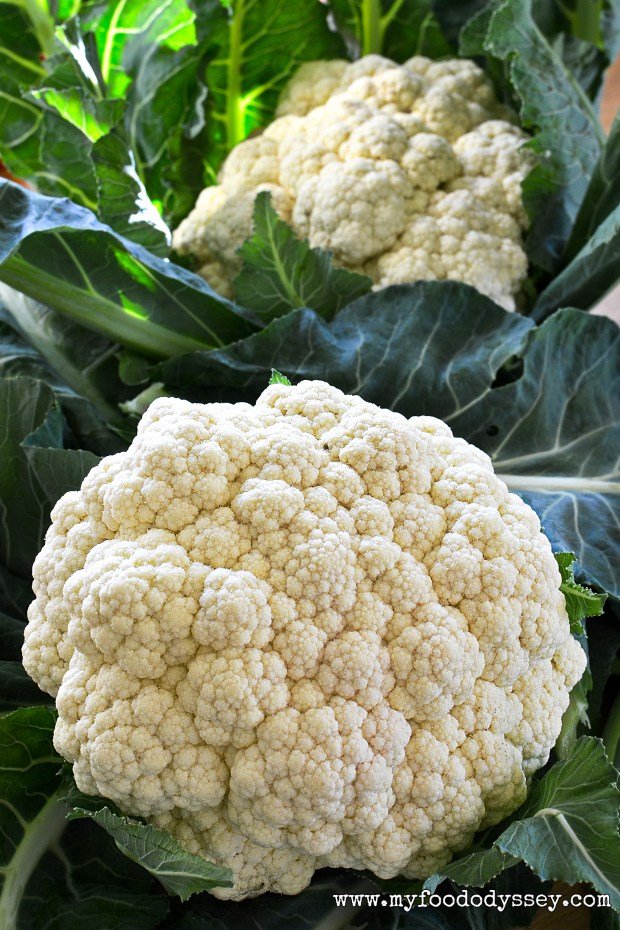 Cauliflower Heads | www.myfoododyssey.com