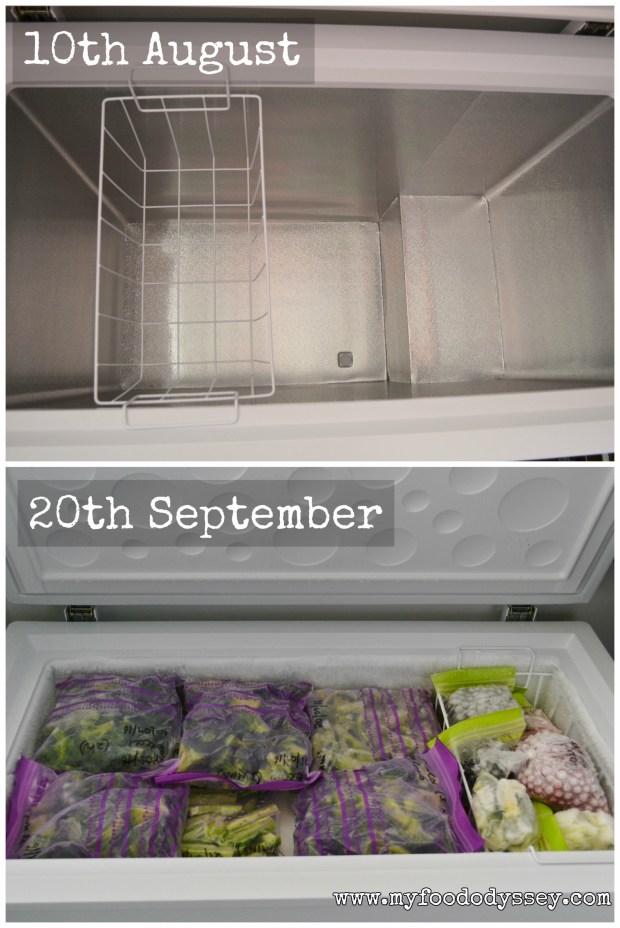 Full Freezer | www.myfoododyssey.com