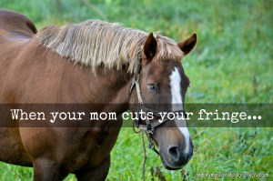 When your mom cuts your fringe... | www.myfoododyssey.com