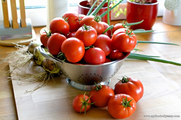 Tomato Bowl | www.myfoododyssey.com