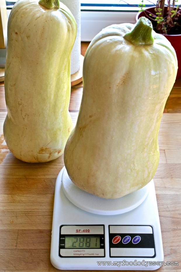 Waltham Butternut Squash | www.myfoododyssey.com