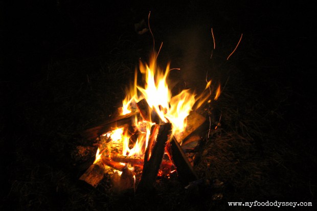 Camp Fire | www.myfoododyssey.com