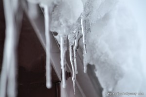Icicles | www.myfoododyssey.com