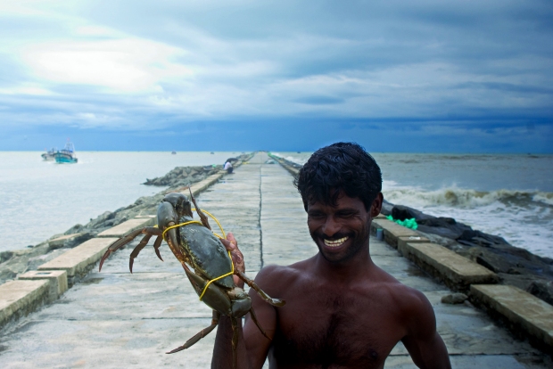 Fisherman with Fresh Catch, Kerala (India) | www.myfoododyssey.com via www.keralatourism.org