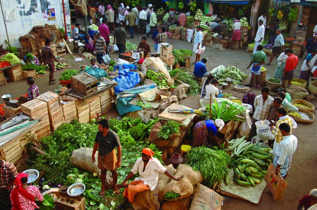 Food Market in Chalai (Kerala, India) | www.myfoododyssey.com via www.keralatourism.org