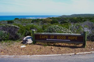 Cape of Good Hope, South Africa | www.myfoododyssey.com
