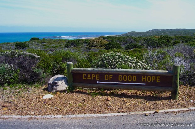 Cape of Good Hope, South Africa | www.myfoododyssey.com