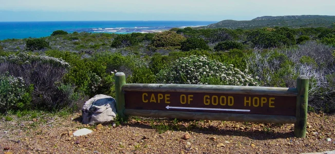 Cape of Good Hope, South Africa | www.myfoododyssey.com
