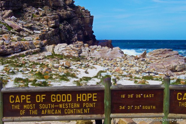 Cape of Good Hope, South Africa | www.myfoododyssey.com