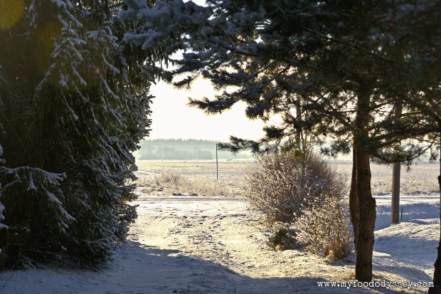 Winter Snow, Lithuania | www.myfoododyssey.com