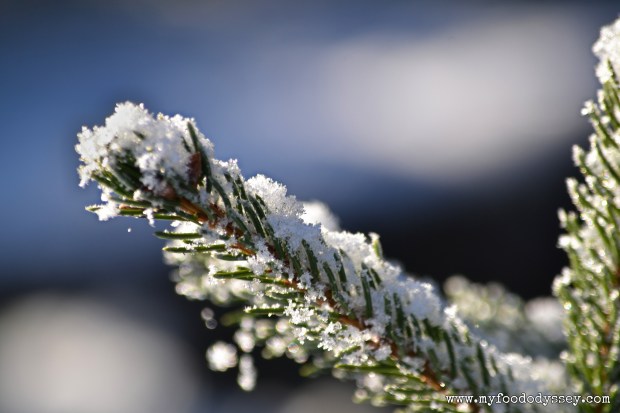 Winter Snow, Lithuania | www.myfoododyssey.com