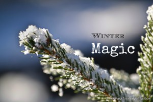 Winter Snow, Lithuania | www.myfoododyssey.com