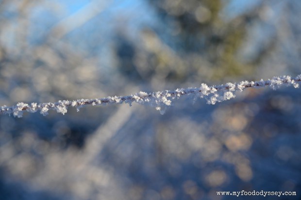 Winter Snow, Lithuania | www.myfoododyssey.com