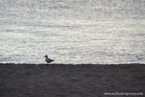 Klaipeda Beach, Lithuania | www.myfoododyssey.com