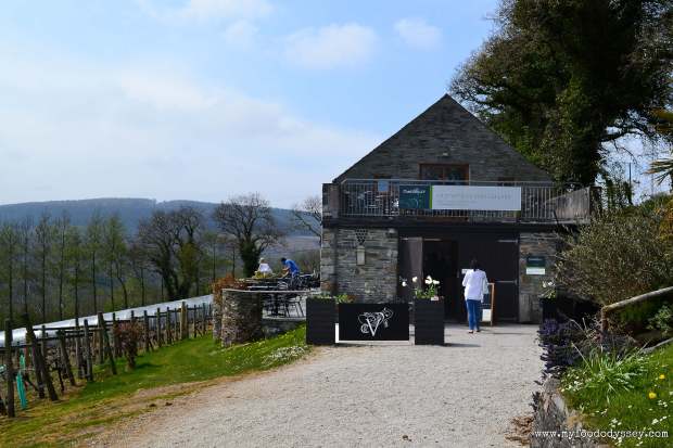 Camel Valley Vineyard, Cornwall | www.myfoododyssey.com