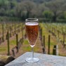Camel Valley Vineyard, Cornwall | www.myfoododyssey.com