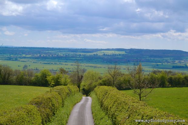 Glastonbury Countryside | www.myfoododyssey.com