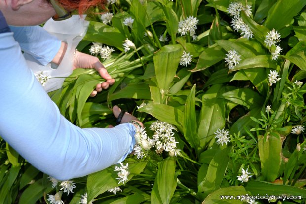 Camel Valley Vineyard, Cornwall | www.myfoododyssey.com