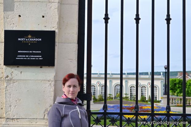 Moët & Chandon Manson | www.myfoododyssey.com