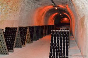 Taittinger Cellars | www.myfoododyssey.com