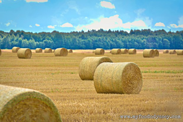 Bales of Hay | myfoododyssey.com