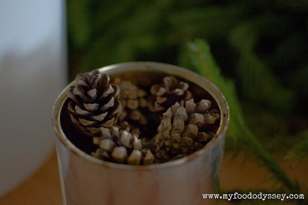 Pinecones | www.myfoododyssey.com